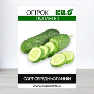 Насіння огірка Полан F1, 0,5 кг